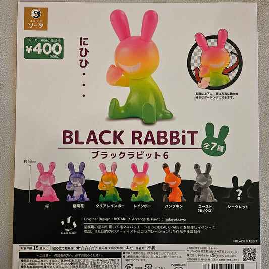 BLACK RABBiT6